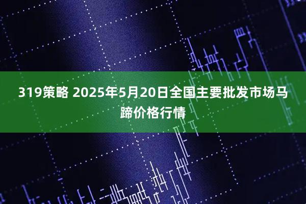 319策略 2025年5月20日全国主要批发市场马蹄价格行情