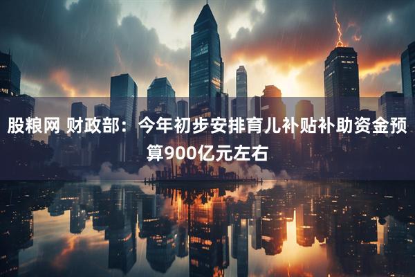 股粮网 财政部：今年初步安排育儿补贴补助资金预算900亿元左右