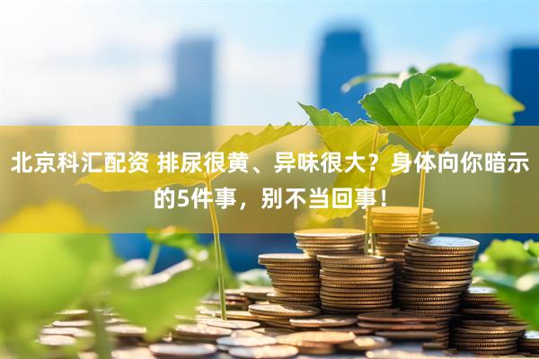 北京科汇配资 排尿很黄、异味很大？身体向你暗示的5件事，别不当回事！